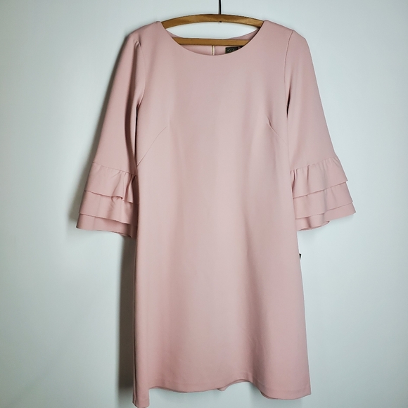 NWT Taylor Blush Shift Pink with Tiered Ruffled Sleeves.  Size 10. - Picture 3 of 8